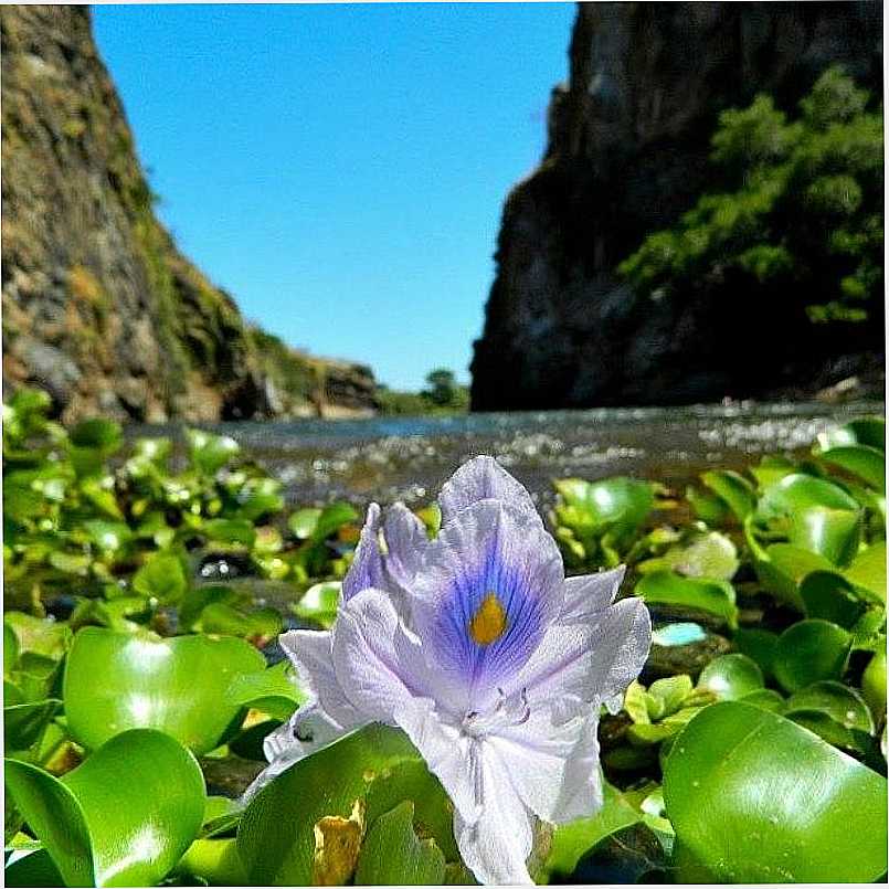 IMAGEM DA CIDADE DE LAVRAS DA MAANGABEIRA - CE - LAVRAS DA MANGABEIRA - CE