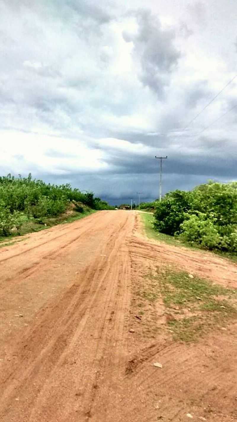 MALHADA GRANDE-CE-ESTRADA DE MALHADA GRANDE-FOTO:FACEBOOK - MALHADA GRANDE - CE