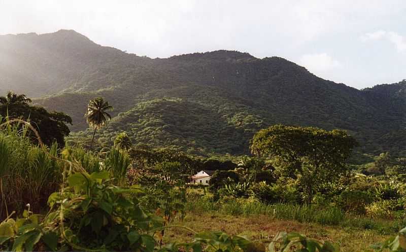 MARANGUAPE-CE-SERRA DE PIRAPORA-FOTO:KREWINKEL-TERTO DE AMORIM - MARANGUAPE - CE