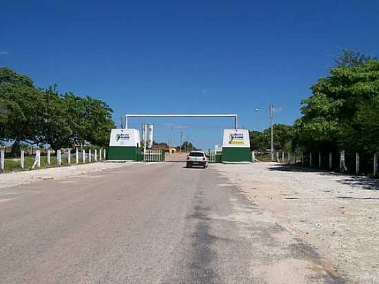 DISTRITO DE IRRIGAO DO PERMETRO BAIXO EM MARCO-CE-FOTO:CLAUDIO LIMA - MARCO - CE