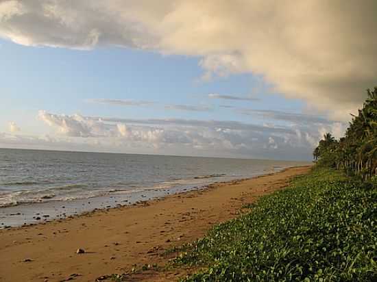 PRAIA DO PATACHO EM PORTO DE PEDRAS-FOTO:BIBIGUY - PORTO DE PEDRAS - AL