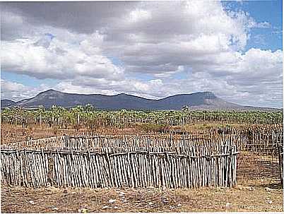 SERRA DO MUCURIPE, POR CLAUDIO LIMA - MORRINHOS - CE