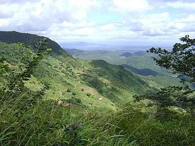 VISTA SERRA DE MULUNGU, POR ROBERTA ARAGO. - MULUNGU - CE