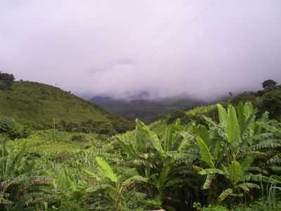 O CLIMA AMENO DA SERRA - MULUNGU/CE, POR MICHELLI - MULUNGU - CE