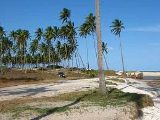 PRAIA DE POXIM-FOTO:NAOTANOMAPA. - POXIM - AL