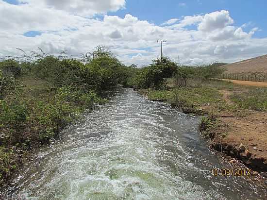 NOVO ORIENTE-CE-AUDE FLR DO CAMPO-FOTO:CLEOMILTON PEREIRA D  - NOVO ORIENTE - CE