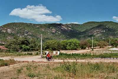 OITICICA-FOTO:KREWINKEL-TERTO DE A - OITICICA - CE