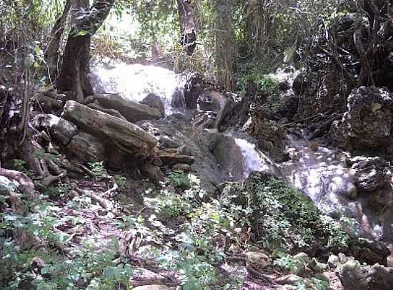 OLHO DGUA DA BICA-CE-CACHOEIRA 4-FOTO:EUAMOABICA.BLOGSPOT. - OLHO-D'GUA DA BICA - CE