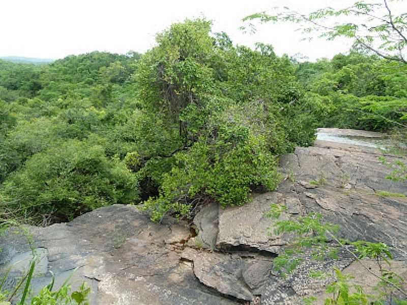 PADRE VIEIRA-CE-CACHOEIRA DA VIOSA NO RIO PIRANGI-FOTO:MOCHILEIROS E CAMPISTAS - PADRE VIEIRA - CE