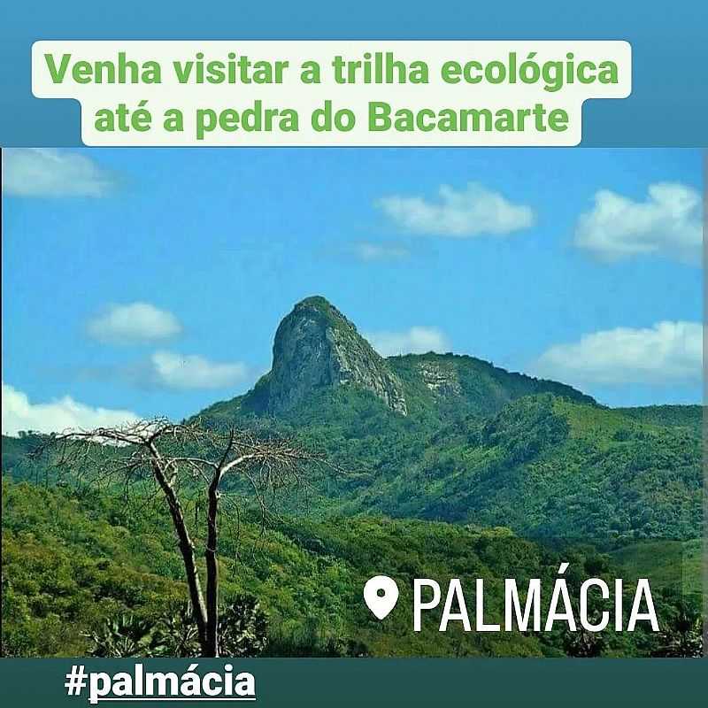 IMAGENS DA CIDADE DE PALMCIA - CE - PALMCIA - CE