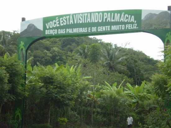 ENTRADA DE PALMCIA!, POR MALENA CARNEIRO - PALMCIA - CE