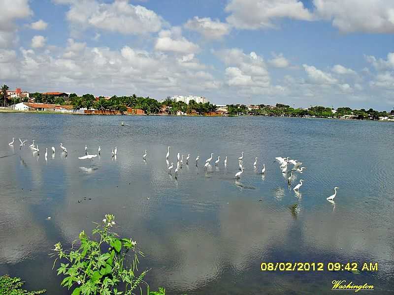 LAGOA DE PARANGABA  - POR WLUIZ  - PARANGABA - CE