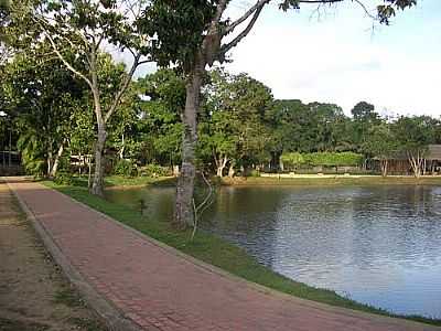 HORTO FLORESTAL DE RIO BRANCO  POR JEZAFLU=ACRE=BRASIL - RIO BRANCO - AC