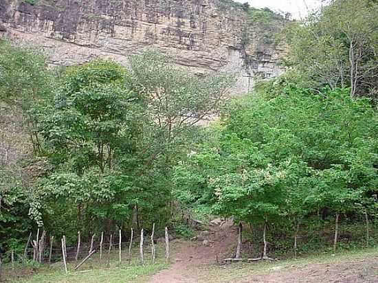 CAMINHO DA BICA DO DONATO EM PIRES FERREIRA-CE-FOTO:PIRES FERREIRA - PIRES FERREIRA - CE