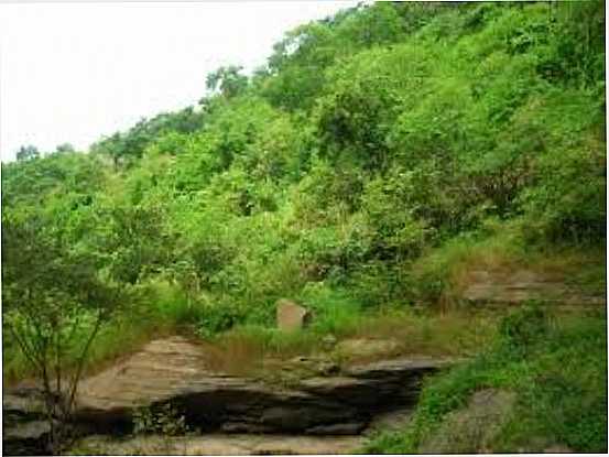 CHAPADA DA IBIAPABA, EM DONATO - PIRES FERREIRA, POR MESSIAS ELMIRO - PIRES FERREIRA - CE