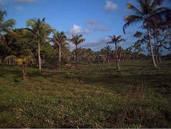 PAISAGEM DE SANTA LUZIA DO NORTE-FOTO:єUDES PESSOA - SANTA LUZIA DO NORTE - AL