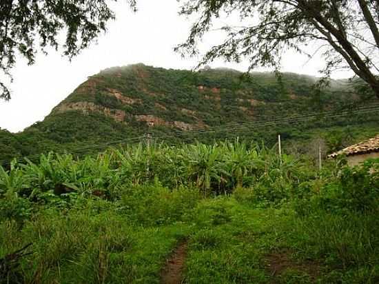 SERRA DO PONTAL DA CHAPADA DO ARARIPE PORTEIRAS-FOTO:WASHINGTON CALDAS - PORTEIRAS - CE