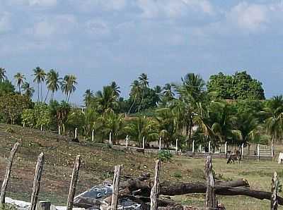 ZONA RURAL-FOTO:MACOE  - QUITAIS - CE