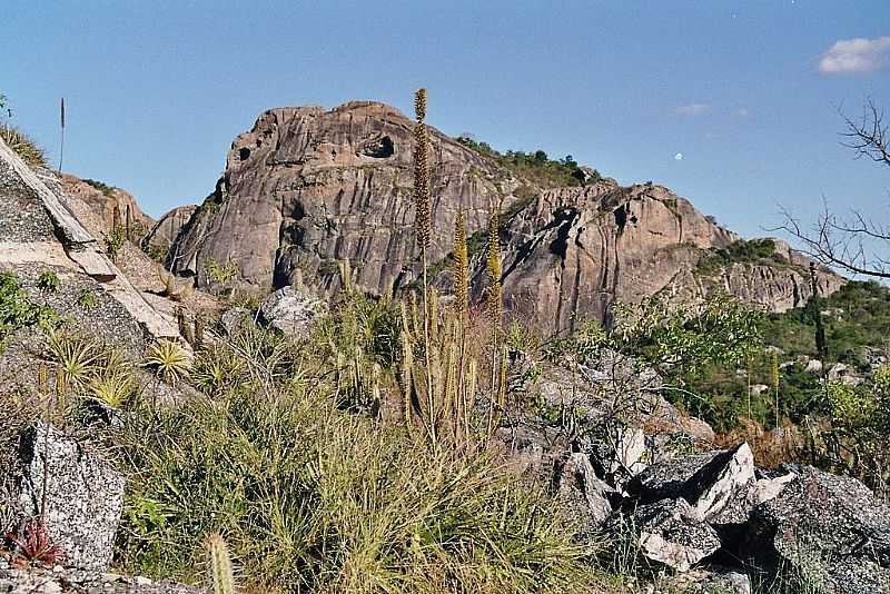 QUIXAD-CE-SERRA DO CEDRO-FOTO:KREWINKEL-TERTO DE AMORIM - QUIXAD - CE