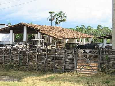 IMAGENS ANTIGAS DE RERIUTABA - RERIUTABA - CE