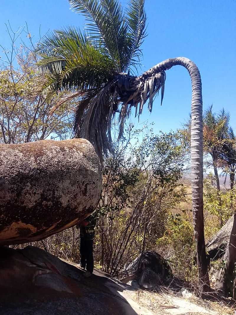 IMAGENS DO MUNICPIO DE SALITRE/CE - SALITRE - CE