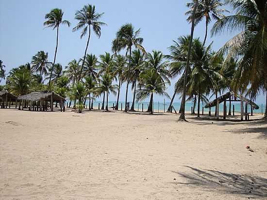 CAMPING EM SO MIGUEL DOS MILAGRES-FOTO:ARTHUR CIARAH - SO MIGUEL DOS MILAGRES - AL