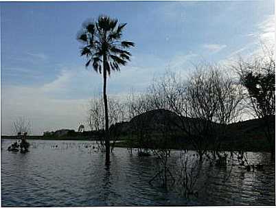 BARRAGEM AO ENTARDECE, POR VANTUILO GONALVES - SENADOR POMPEU - CE