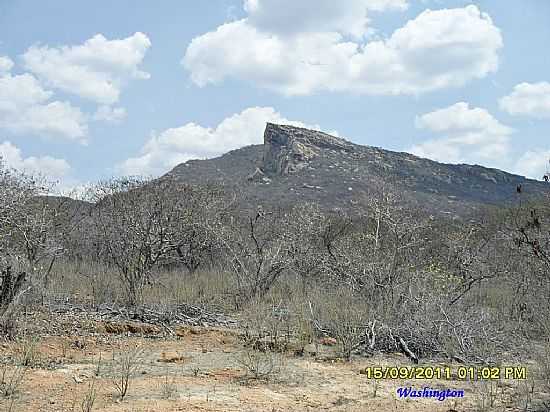 TAMBORIL-CE-SERRA DO BICO DA ARARA-FOTO:WLUIZ - TAMBORIL - CE