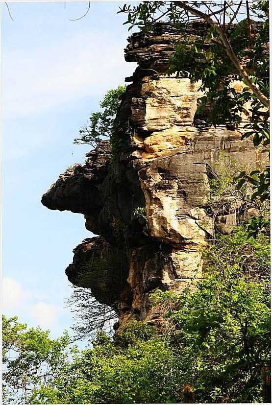 CABEA DO INDIO DE PEDRA, PARQUE ECOLGICO FURNA DOS OSSOS-TEJUUOCA-CE, POR FABIO FARIAS GOMES - TEJUUOCA - CE
