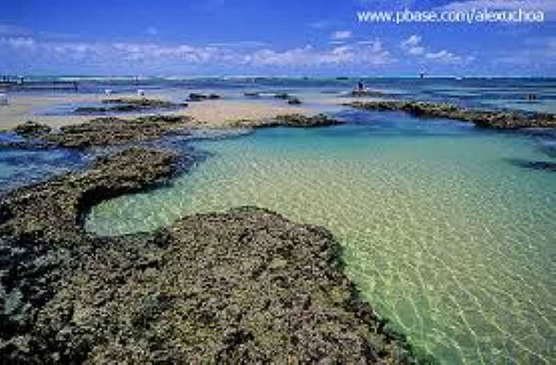 TRAIRI-CE-PISCINAS NATURAIS NA PRAIA DAS FLEIXEIRAS-FOTO:WWW.PBASE.COM  - TRAIRI - CE