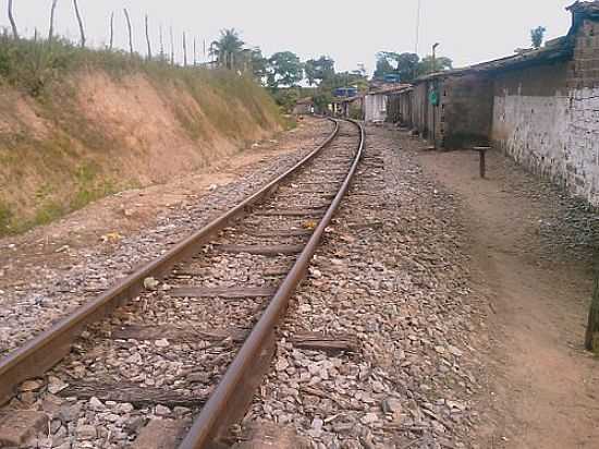 FERROVIA EM SATUBA-FOTO:MILTONRV - SATUBA - AL