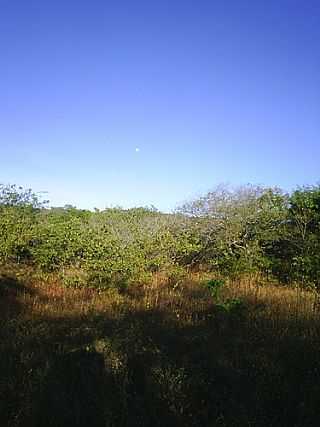 RPPN SERRA DAS ALMAS EM TUCUNS POR BEKBRA - TUCUNS - CE