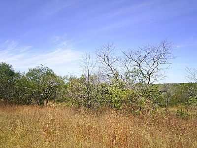 RPPN SERRA DAS ALMAS EM TUCUNS POR BEKBRA - TUCUNS - CE