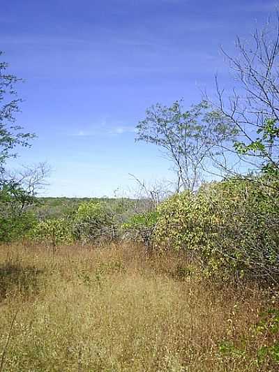 RPPN SERRA DAS ALMAS EM TUCUNS POR BEKBRA - TUCUNS - CE