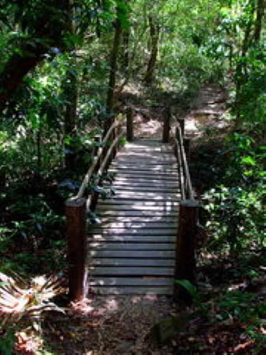 PONTE DA TRILHA NO PARQUE NACIONAL DE UBAJARA -FOTO:S. F. DA COSTA - UBAJARA - CE