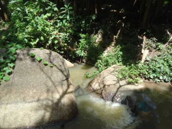 SERRA DO OURO URUBURETAMA, POR VANIA DOURADO - URUBURETAMA - CE