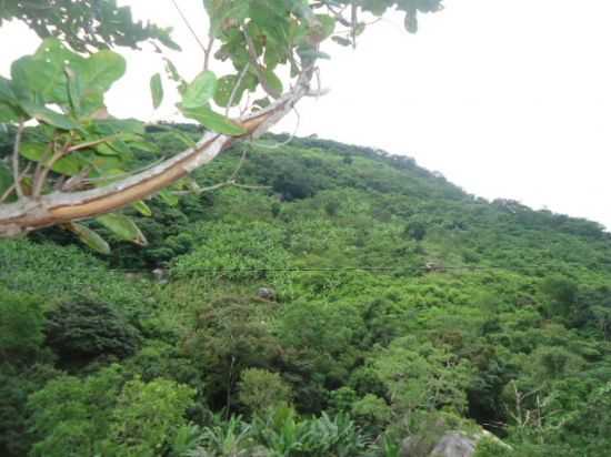 SERRA DE URUBURETAMA, POR CANTINHO DA SERRA - URUBURETAMA - CE