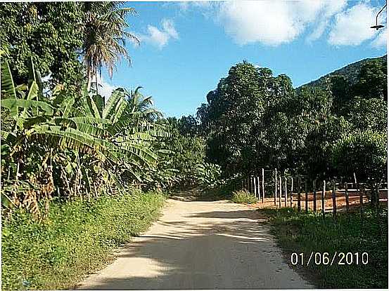 URUBURETAMA-CE-ESTRADA DE TERRA QUE LIGA URUBURETAMA  ITAPIPOCA-FOTO:PROF.CASTRO - URUBURETAMA - CE