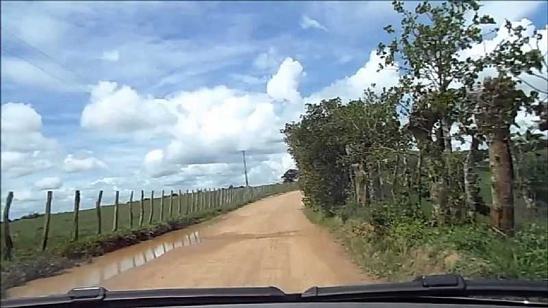 SERRA DA MANDIOCA-AL-CHEGANDO NO DISTRITO-FOTO:ALEXANDRE LEONARDO - SERRA DA MANDIOCA - AL