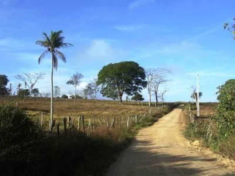SERRA DA MANDIOCA-AL-ESTRADA DO POVOADO-FOTO:JALONUNES F - SERRA DA MANDIOCA - AL