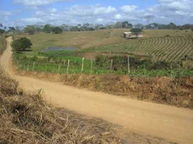 SERRA DA MANDIOCA-AL-VISTA DA REGIO-FOTO:JALONUNES F - SERRA DA MANDIOCA - AL