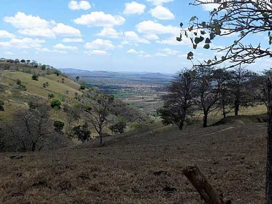 VISTA DA SERRA DA MANDIOCA-FOTO:MANOEL JORGE RIBEIRO - SERRA DA MANDIOCA - AL