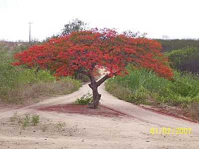 VRZEA DO GIL POR JEFERSON - VRZEA DO GILO - CE