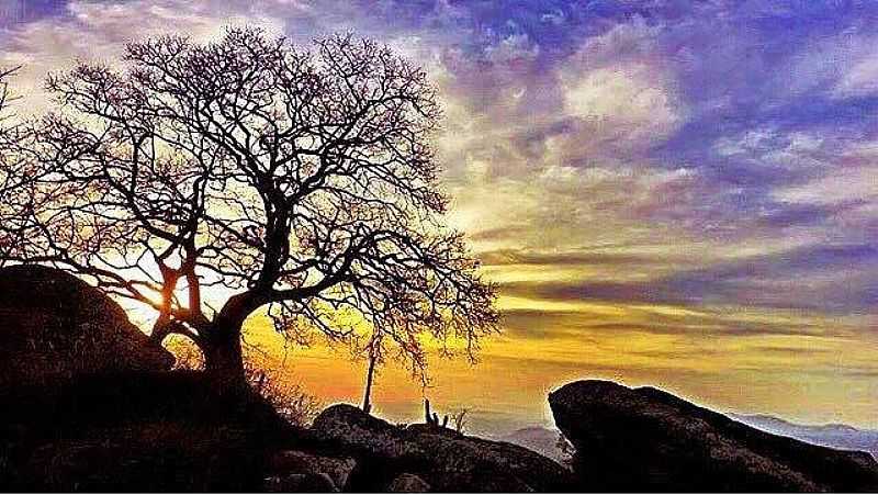 IMAGEM DA CIDADE DE VENTURA - CE - VENTURA - CE