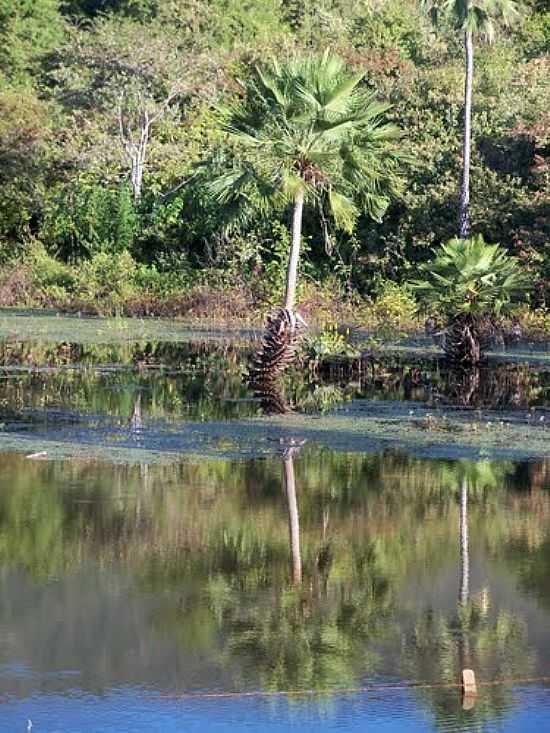 VIOSA DO CEAR-CE-REFLEXOS NO LAGO-FOTO:GAUCHO.PANCHO - VIOSA DO CEAR - CE