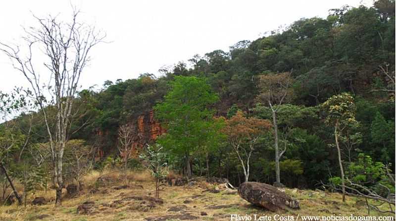 GAMA-DF-PARQUE ECOLGICO PRAINHA-FOTO:NOTICIASDOGAMA.COM  - GAMA - DF