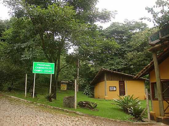 ALEGRE-ES-CAMINHO DOS CAMPOS-CACHOEIRA DA FUMAA-FOTO:DIANA KAYA - ALEGRE - ES