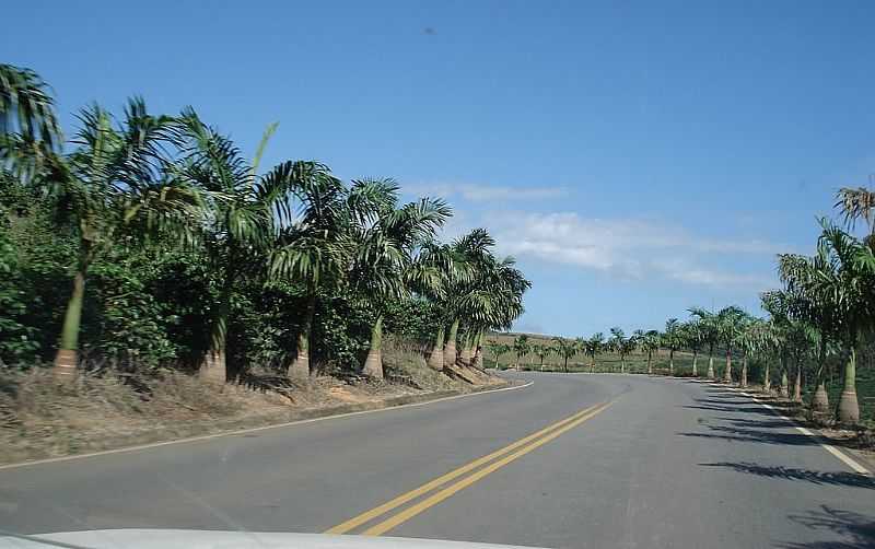 ALTO CALDEIRO-ES-RODOVIA VALDIR LOUREIRO-FOTO:ANIVALDO KUHN - ALTO CALDEIRO - ES