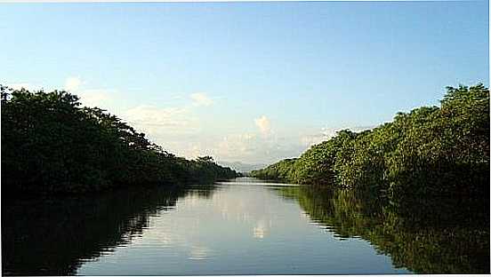 RIO EM ANCHIETA-ES-FOTO:FABIO POLTRONIERI - ANCHIETA - ES