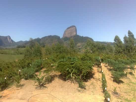 PEDRA DO MOITAO EM ATILIO VIVACQUA, POR JORGE COSTA - ATLIO VIVCQUA - ES